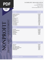 Nonprofit Profit and Loss Statement