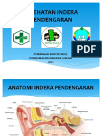 MATERI INDERA PENDENGARAN 2023 Dokcil