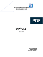 Capitulo I