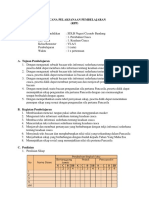 RPP Tema 1 1