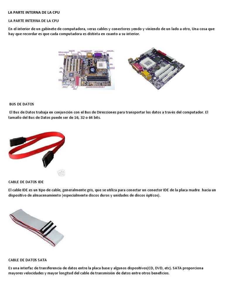 Componentes Internos de la CPU | PDF | Hardware de la computadora ...
