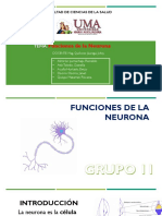 Funcion de La Neurona