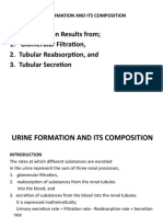 Urine Formation and Its Composition