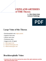 Blood Supply of Thorax