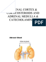 4.adrenal Gland & Corticosteroids