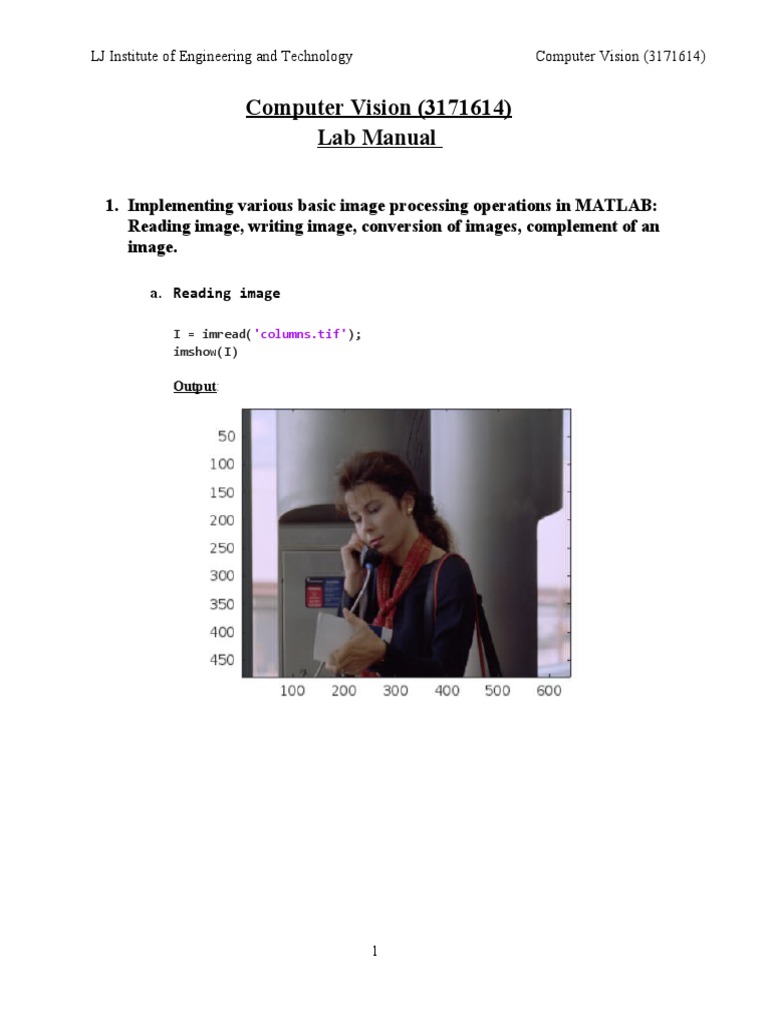 Optical Flow and Image Processing in MATLAB | PDF | Computer Vision ...