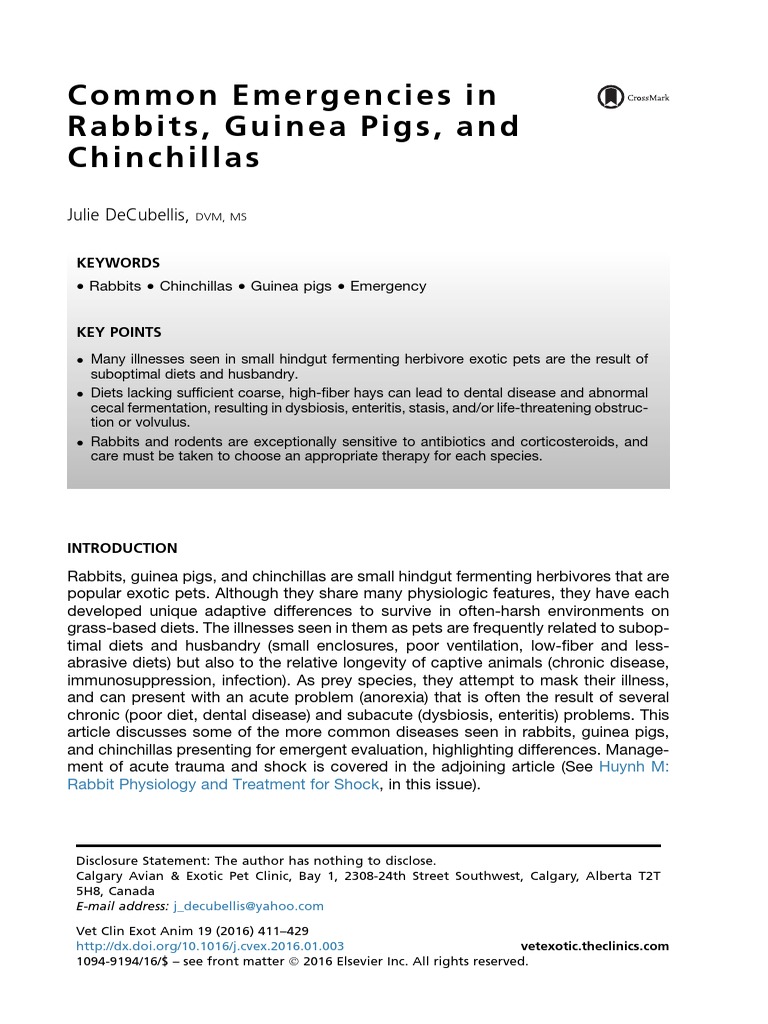 Common Emergencies in Rabbits, Guinea Pigs, and Chinchillas PDF