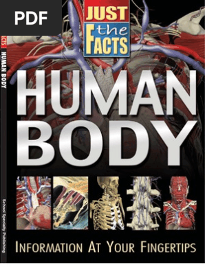 Human Body