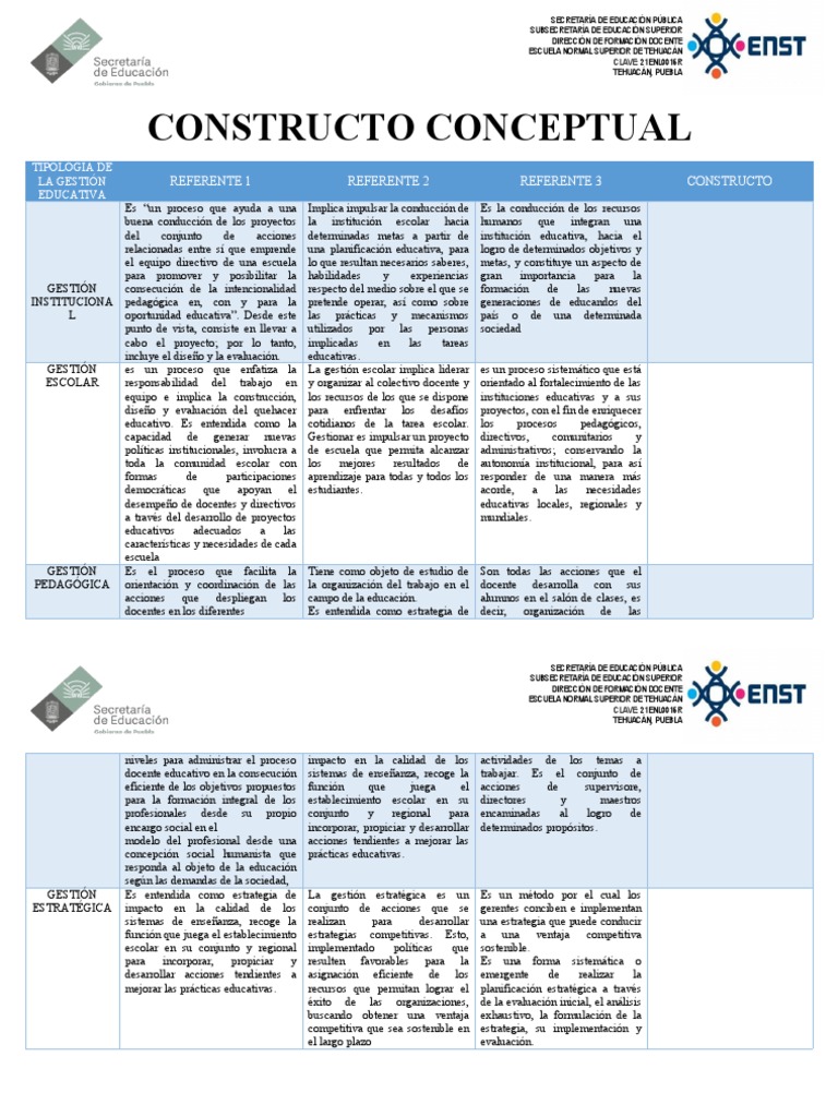 Constructo Conceptual | PDF | Método de enseñanza | Evaluación