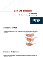 TypeS of Muscles