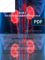 Sistem Ekskresi Manusia - Organ Ekskresi