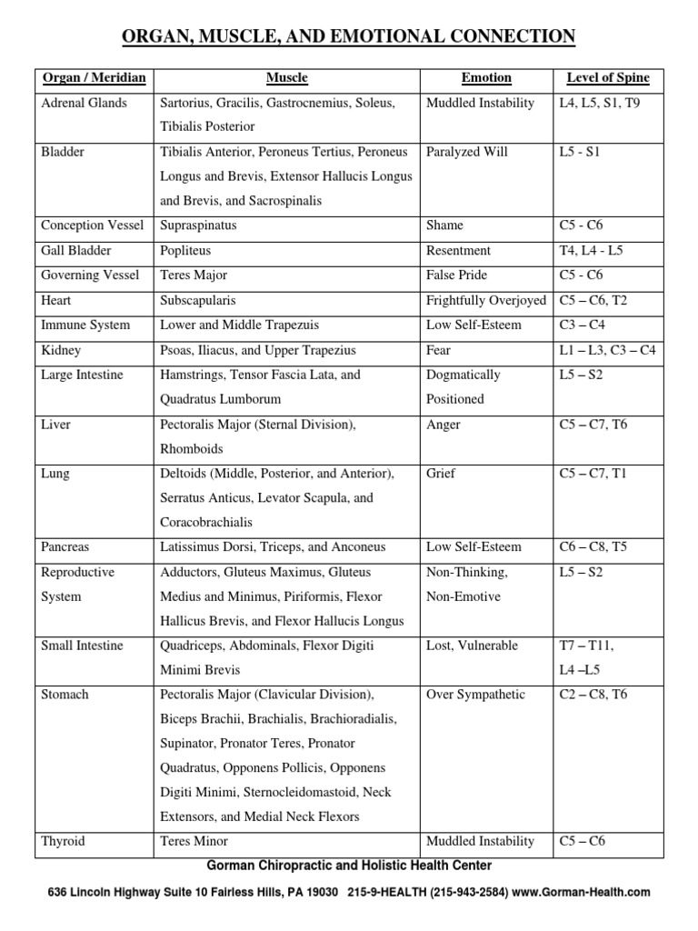 Organ Muscle and Emotional Connection PDF Limbs (Anatomy) Human