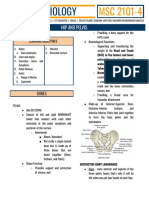 Hip&Pelvis Kines Trans