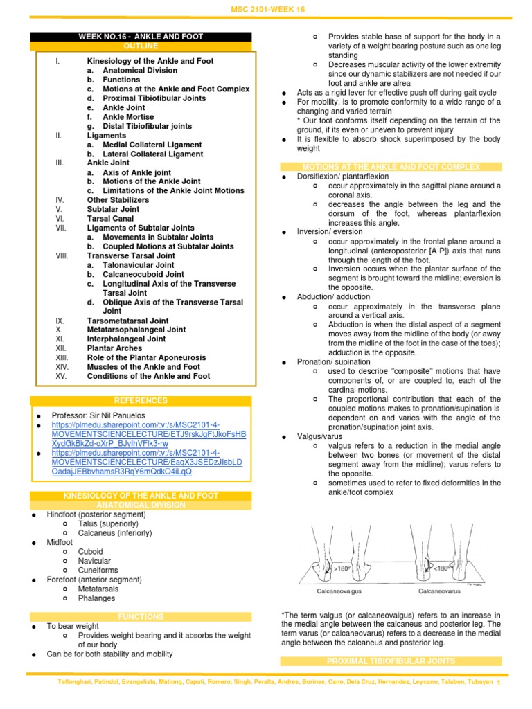 Kinesiology of Ankle and Foot Complex | PDF | Foot | Ankle