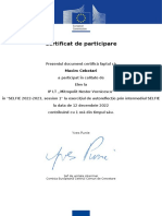 SELFIE Certificate (1)
