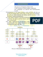 Haematopoiesis