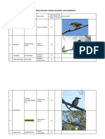 Daftar Jenis Burung Taman Nasional Taka Bonerate 2021
