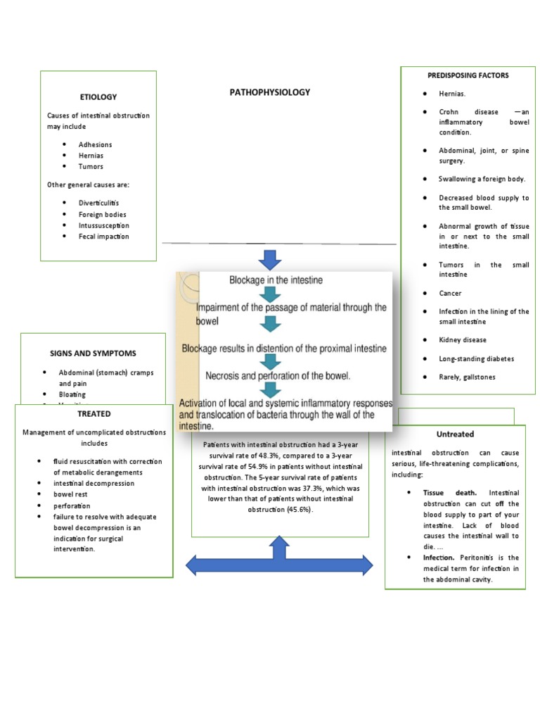 pathophysiology-1-pdf-health-sciences-medical-specialties