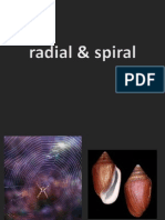 Radial Spiral