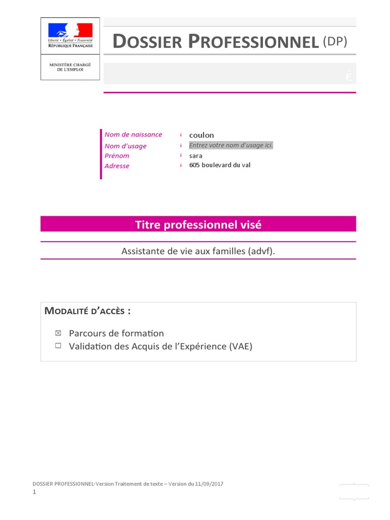 comment faire un dossier professionnel exemple