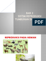 Sistim Reproduksi Hewan Ipa