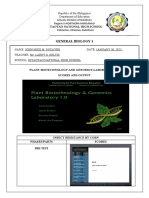 Lab Final Output