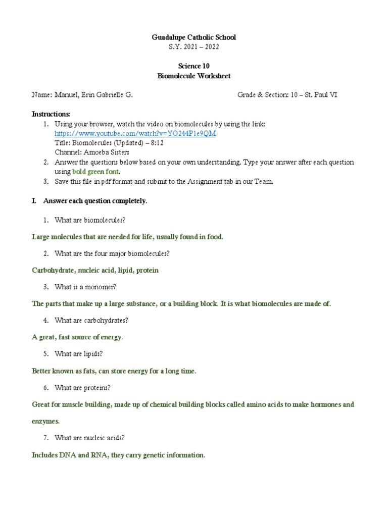 Understanding the Building Blocks of Life A Student Worksheet on