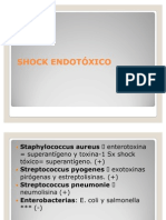 Choque Endotoxico