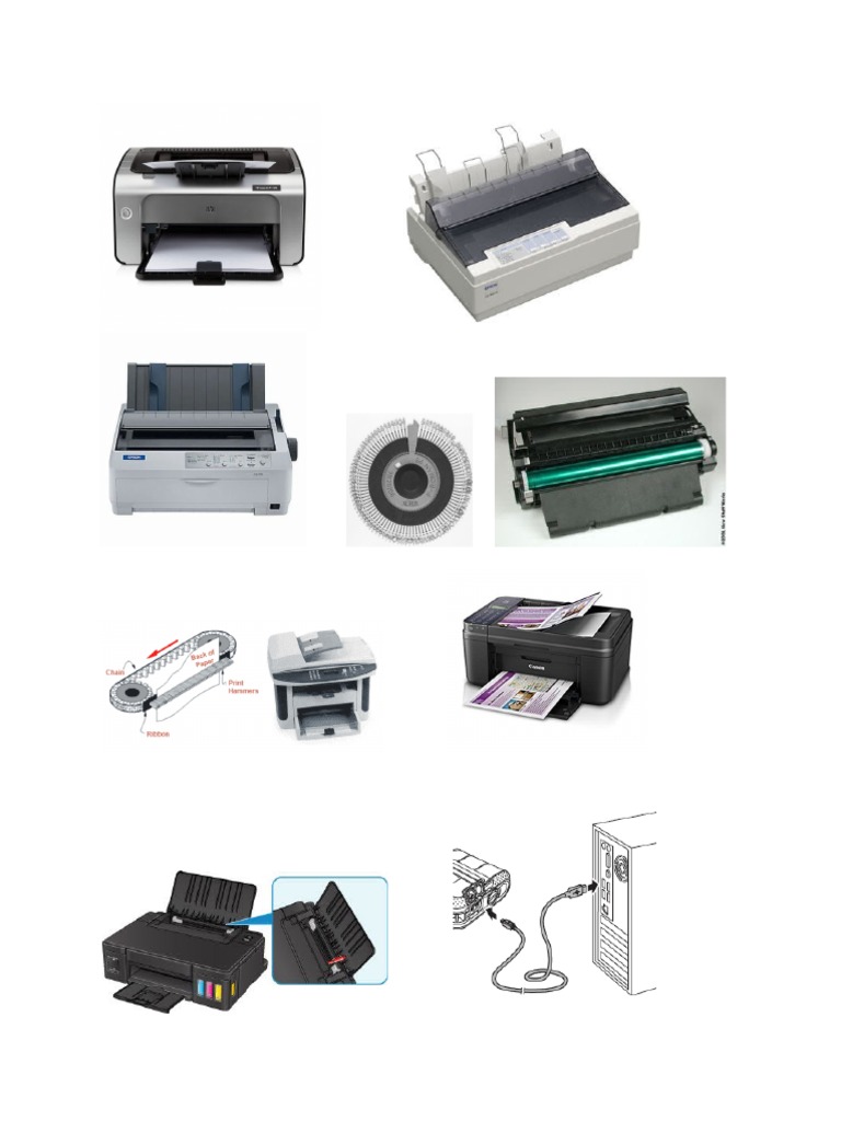 Parts and Functions of Printers (Images) PDF
