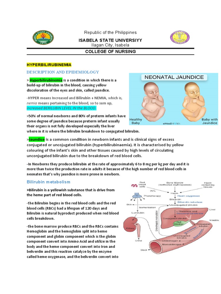 Hyperbilirubinemia (Gerardo, Maria Maricar P) PDF Breastfeeding Bile