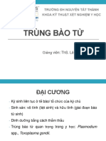 Bài 2. Đơn Bào P2 - Trùng Bào T