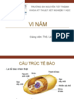 Bài 3. Đại cương vi nấm - Nấm men