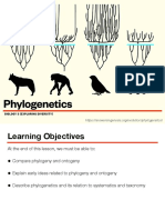 Phylogenetics (Overview)