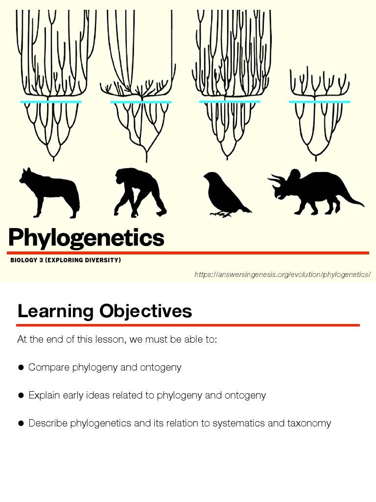 Phylogenetics Overview Pdf Phylogenetics Phylogenetic Tree