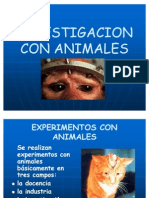 Experimentación