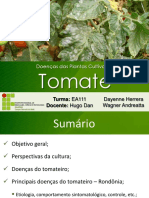 Doeças no Tomateiro-130925211840-phpapp02
