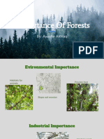 Importance of Forests