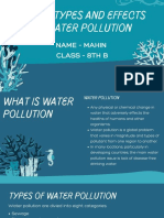On Types and Effects of Water Pollution