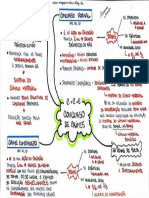 mapa mental concurso de crimes