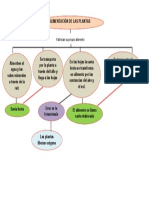 Alimentación de Las Plantas