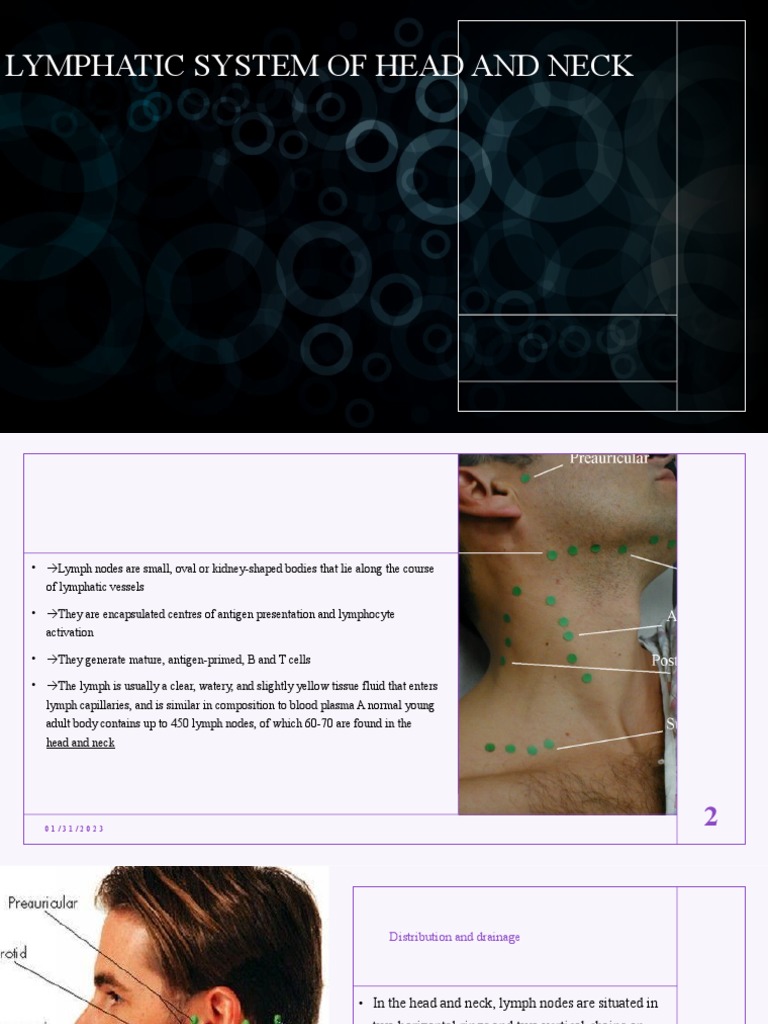 Anatomy of Head and Neck Lymph Nodes | PDF | Neck | Lymphatic System
