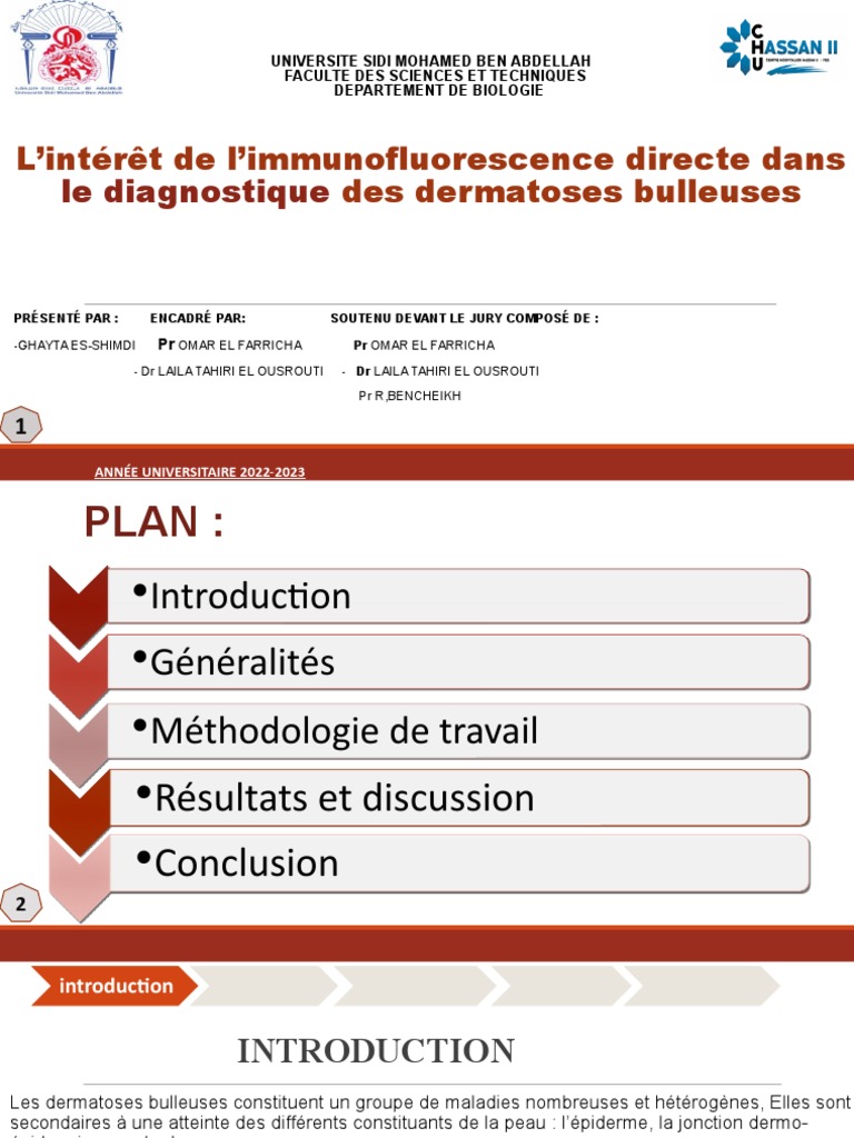 Diagnostic des dermatoses bulleuses par IFD | PDF | Maladie auto-immune ...