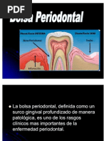 BOLSA_PERIODONTALl