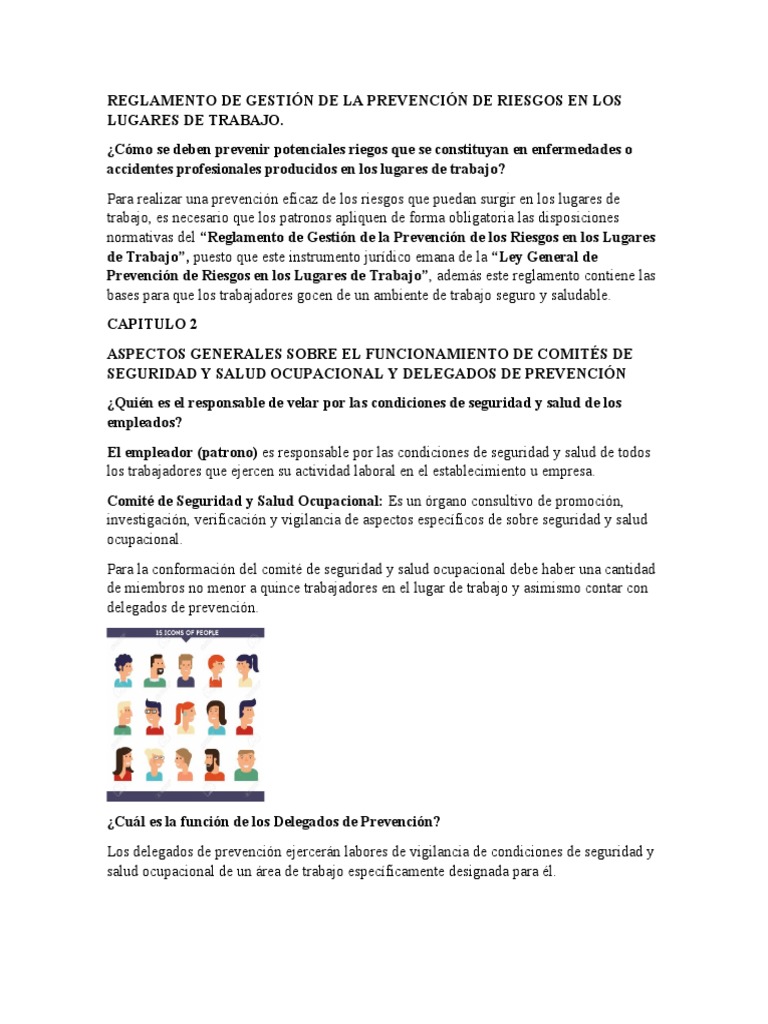 Reglamento de Gestión de La Prevención de Riesgos en Los Lugares de ...