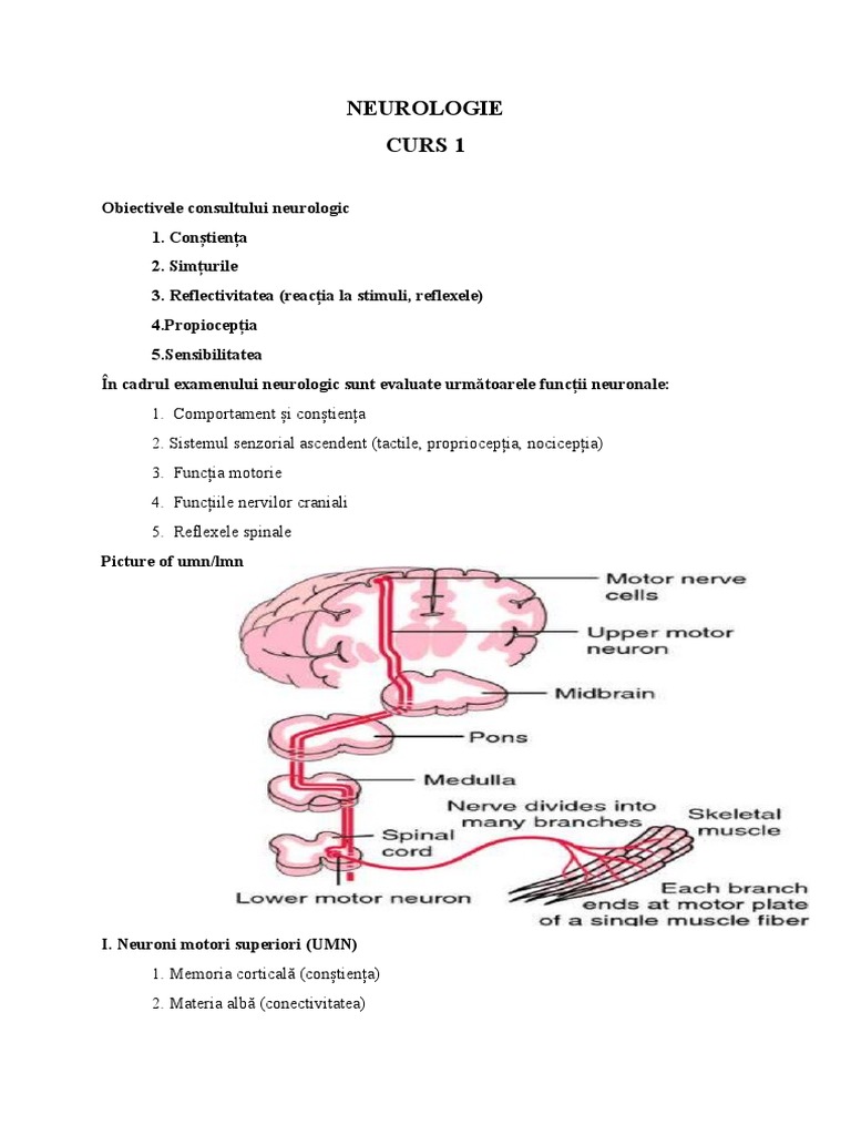 stellenangebote neurologie