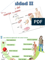 Anatomia y Fisiologia Humana I - UNIDAD II