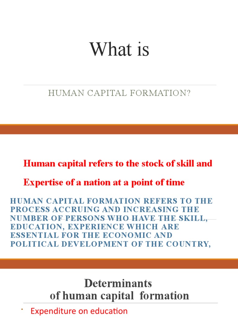 Human Capital PDF