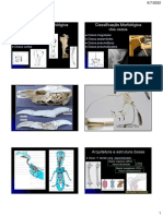 OSTEOLOGIA GERAL Parte 2 e Osteologia Sistematica