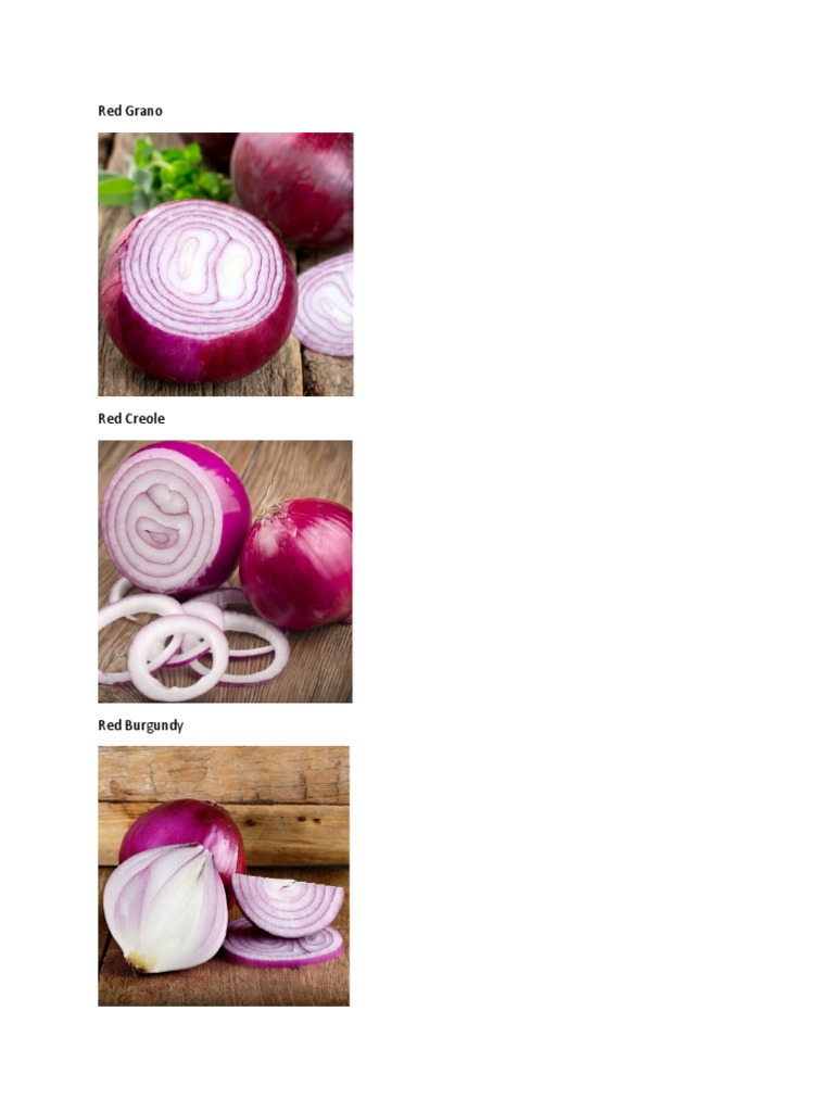 Field Trial 6 Onion Varieties PDF