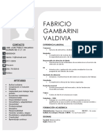 Fabricio Gambarini Valdivia: Contacto